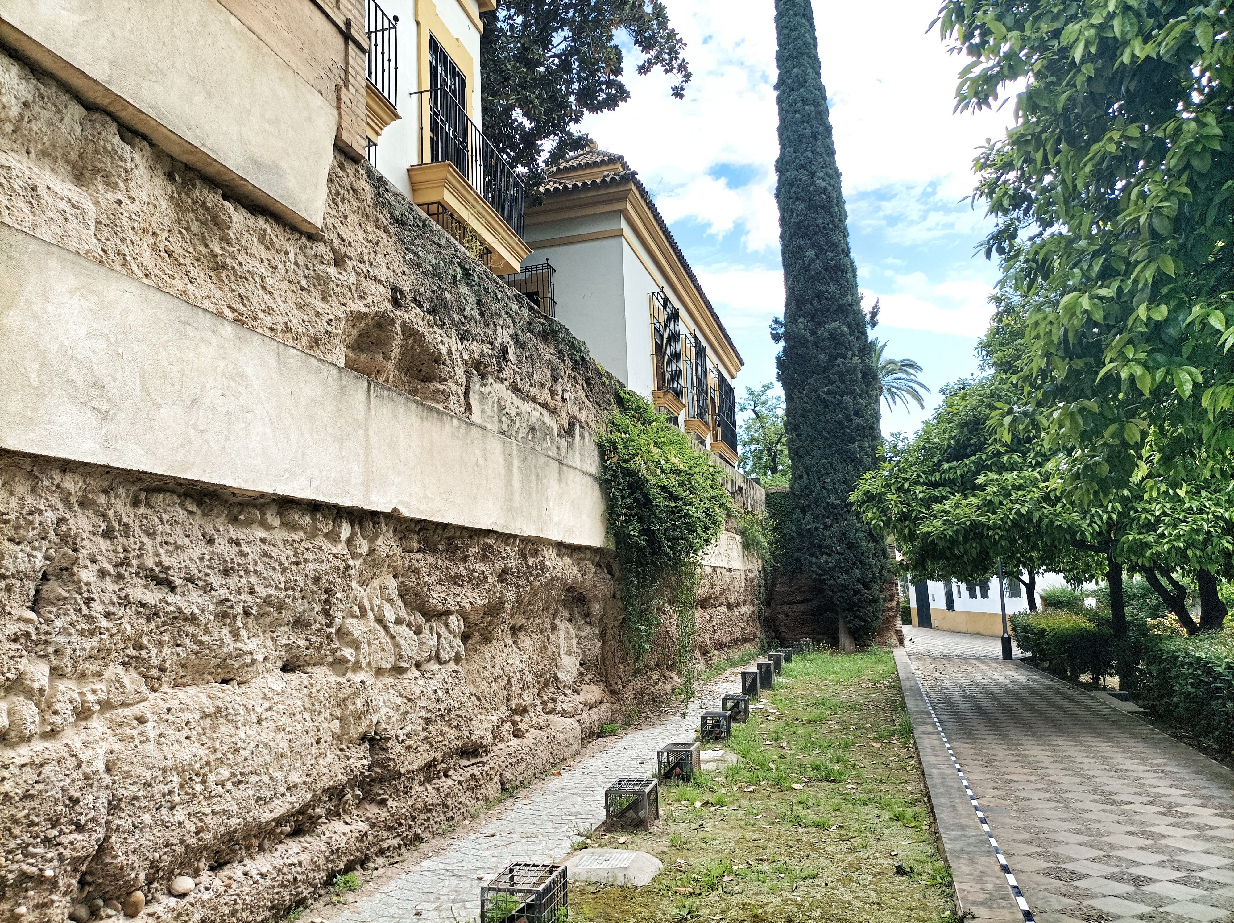 Muralla Jardines de Murillo 8