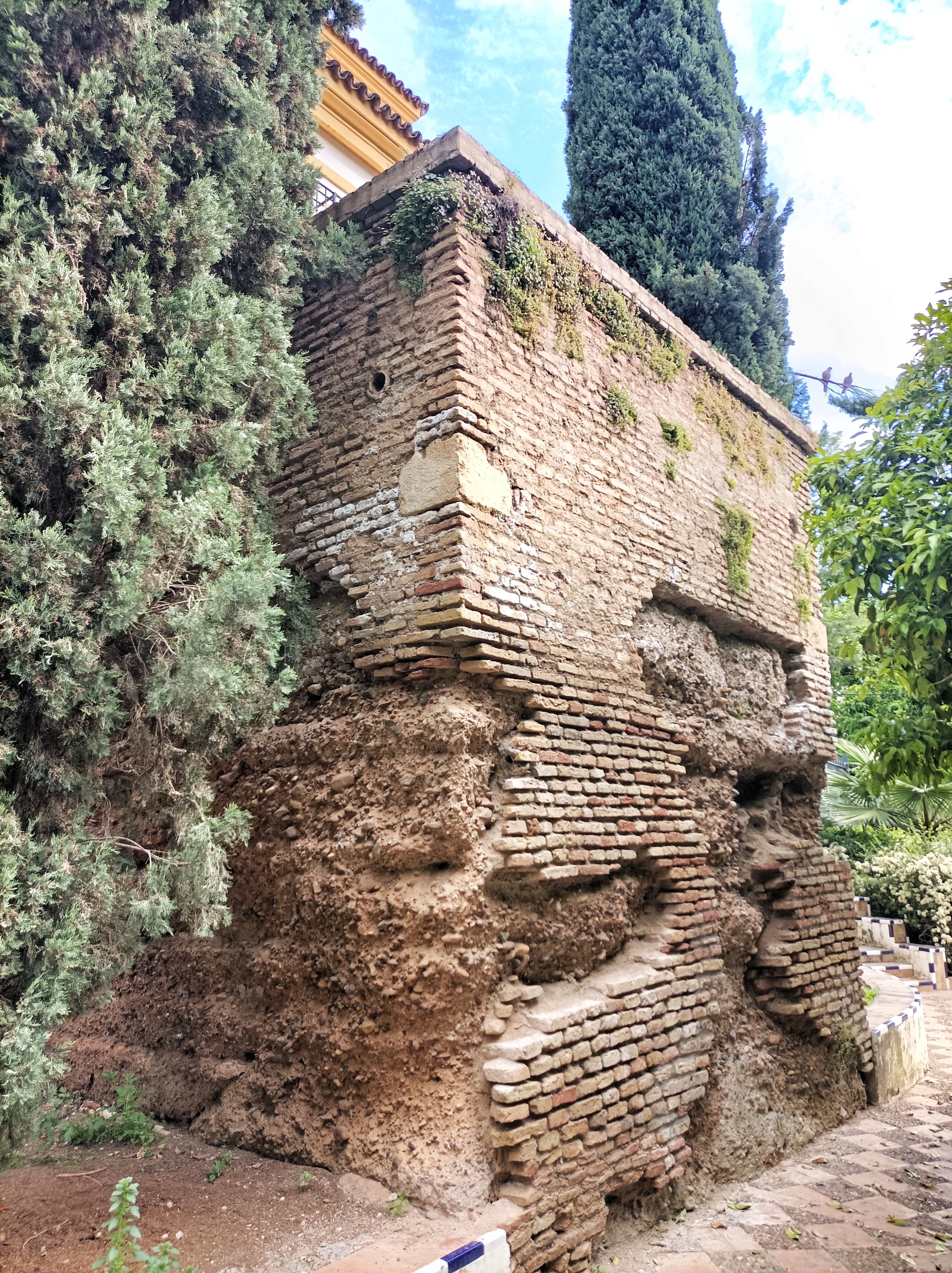 Muralla Jardines de Murillo 10