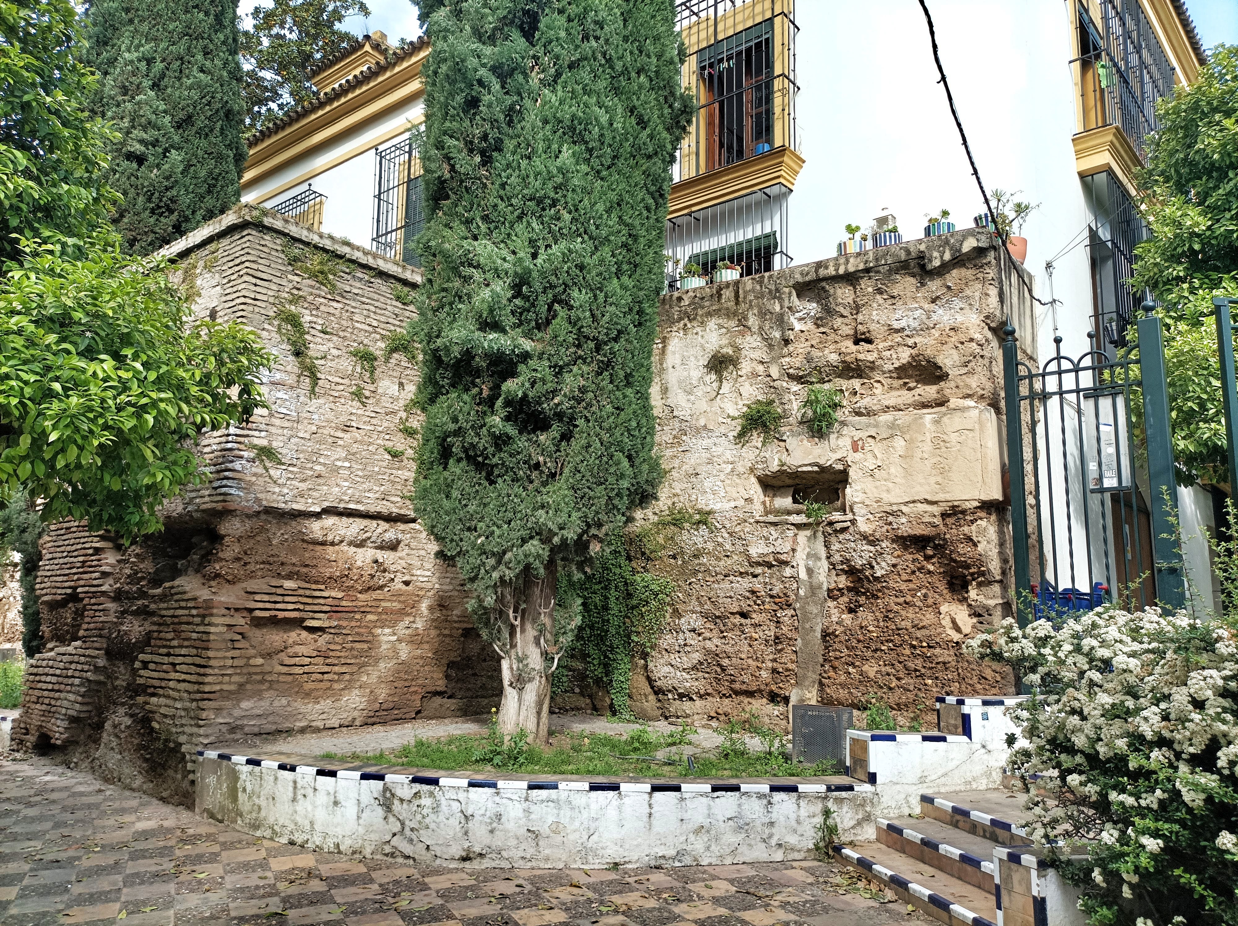 Muralla Jardines de Murillo 11