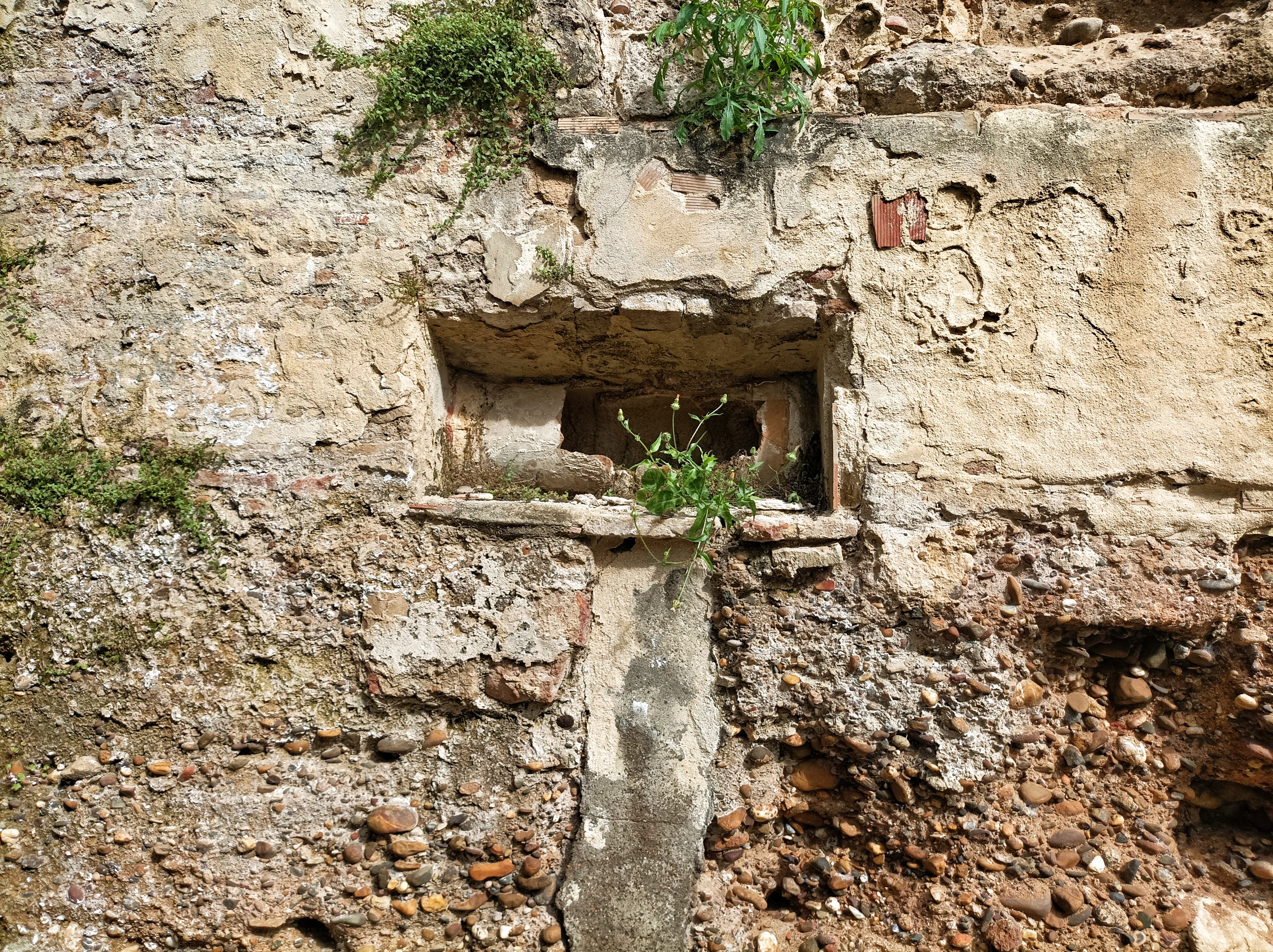 Muralla Jardines de Murillo 12