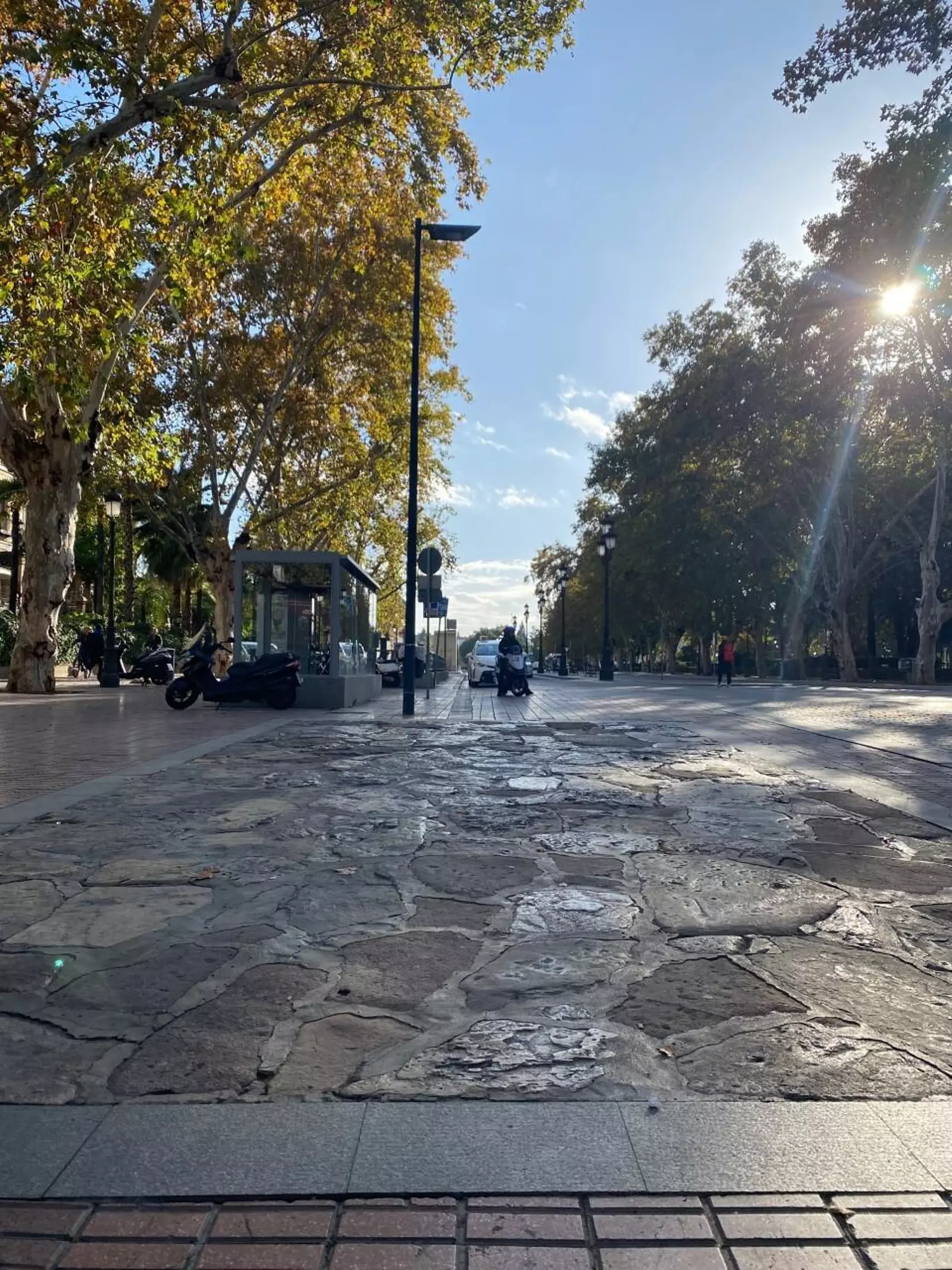 La Calzada romana de la Avenida de Roma