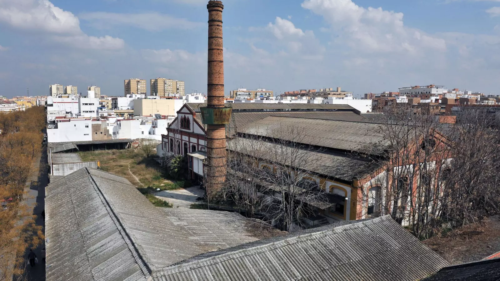 Calliope duerme bajo la antigua Fábrica de Vidrio